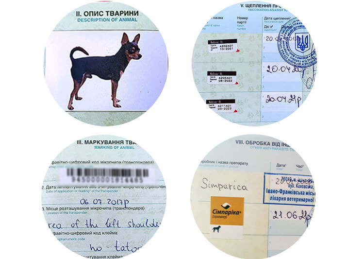 Відмітки в паспорті тварини